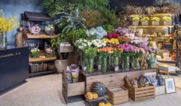 长沙花店吃瓜爆料事件,一场意外的网络热议